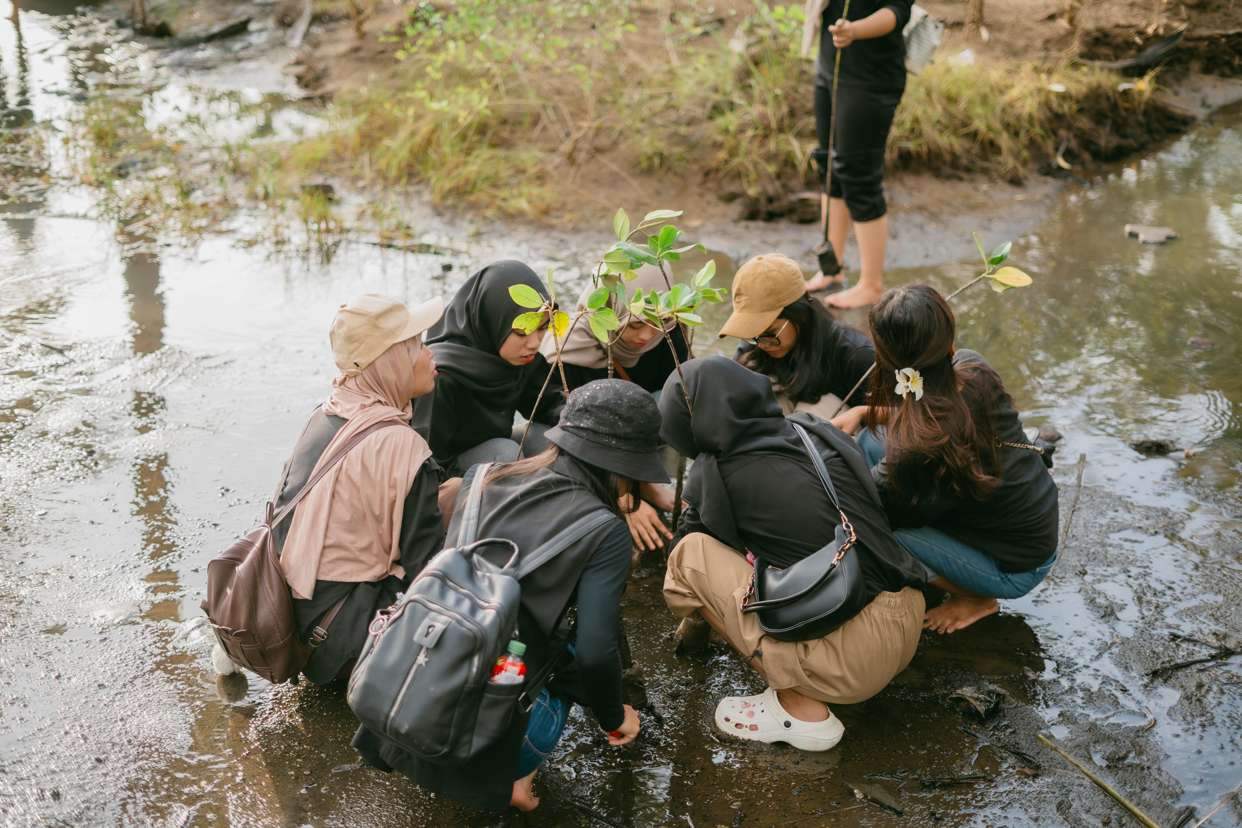 Representatives from local communities, universities, and institutions plant mangrove seedlings together, reinforcing a participatory approach to ecological recovery.